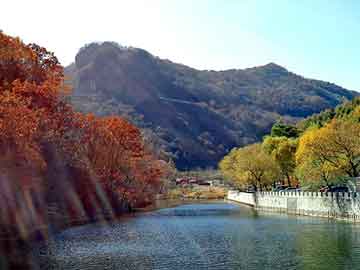 新澳天天开奖资料大全旅游团，去云南旅游要多少钱